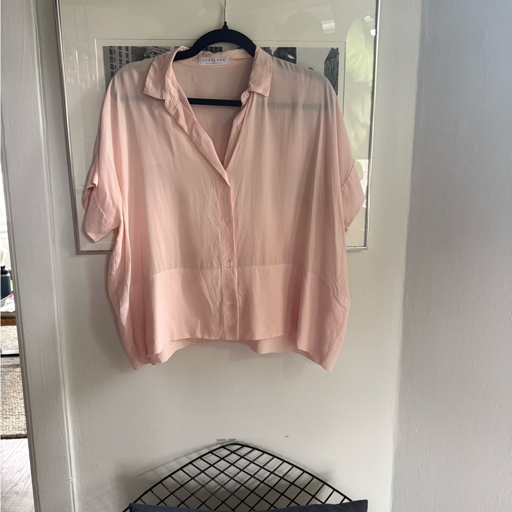 Everlane Soft Blush Washable Silk Button-Up Blouse